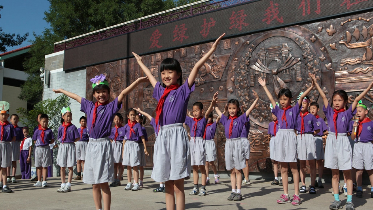 爱绿护绿 我们在行动