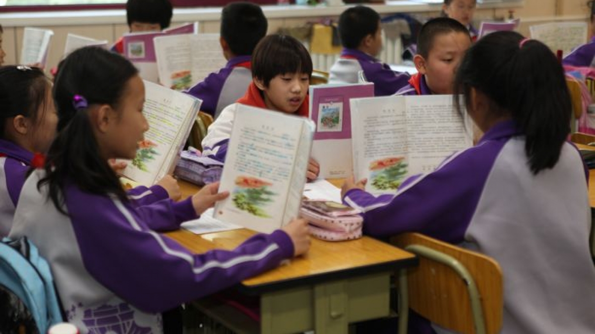 热烈祝贺我校学生马瞳入选国家跳水队