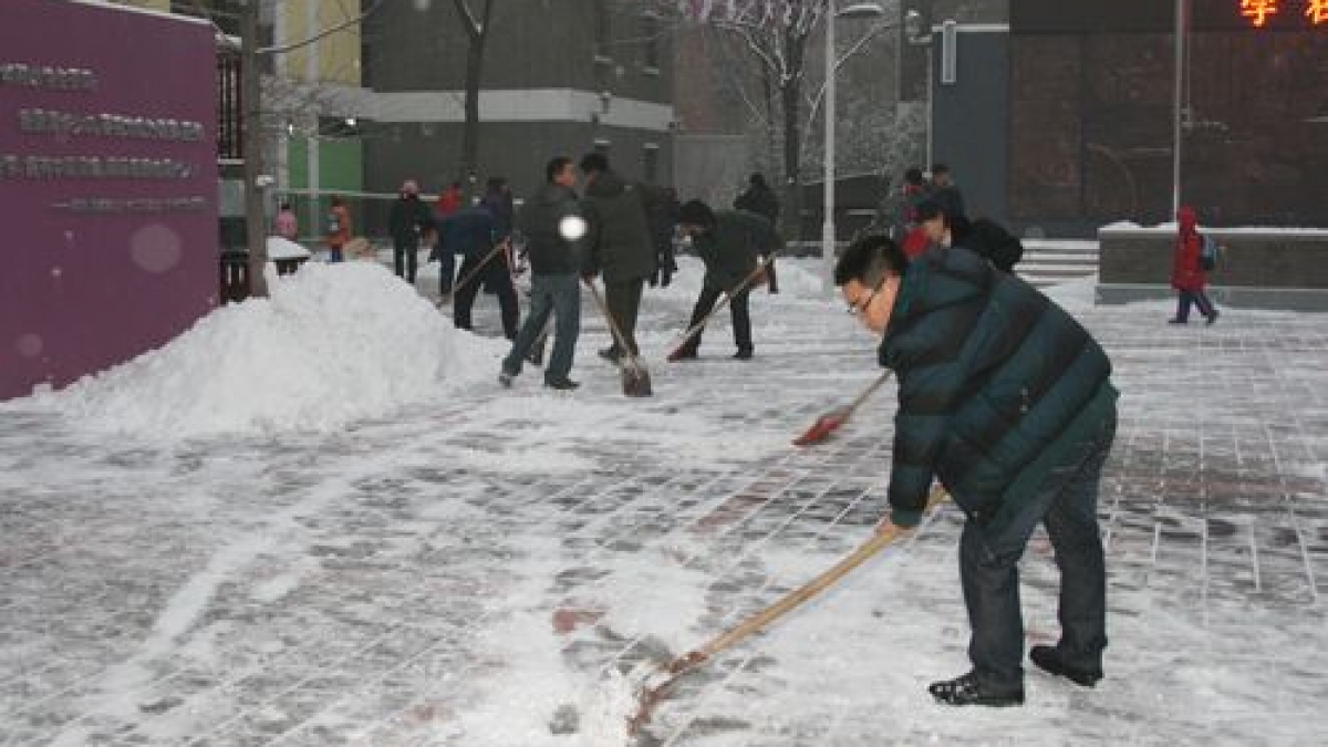 清华附小扫雪队