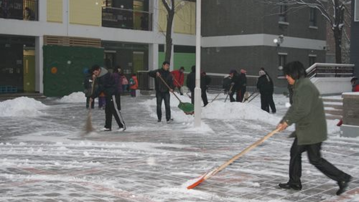 清华附小扫雪队