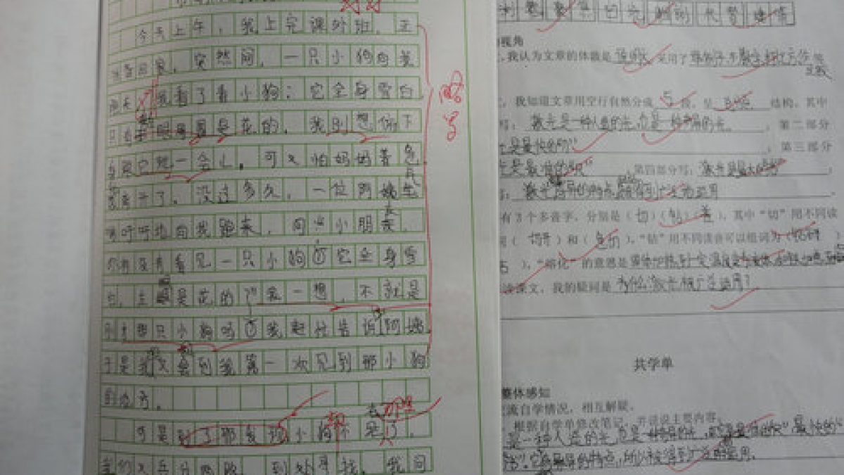 责任星——张昆宁