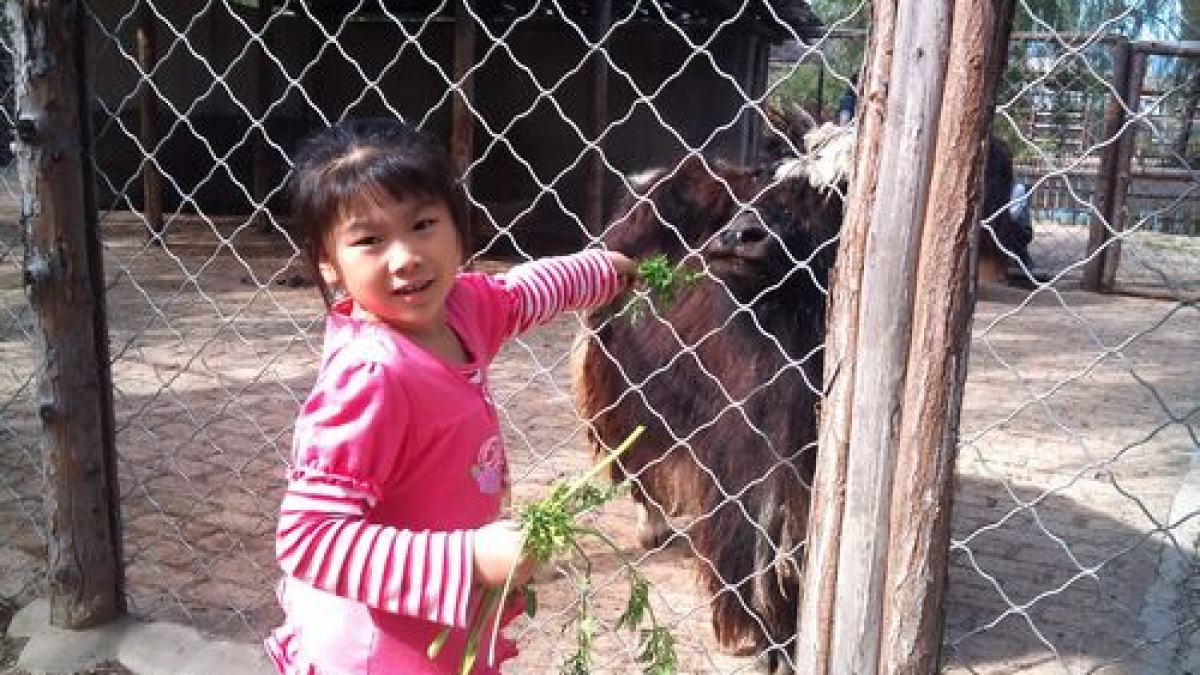 尊重之星——赵嘉楠