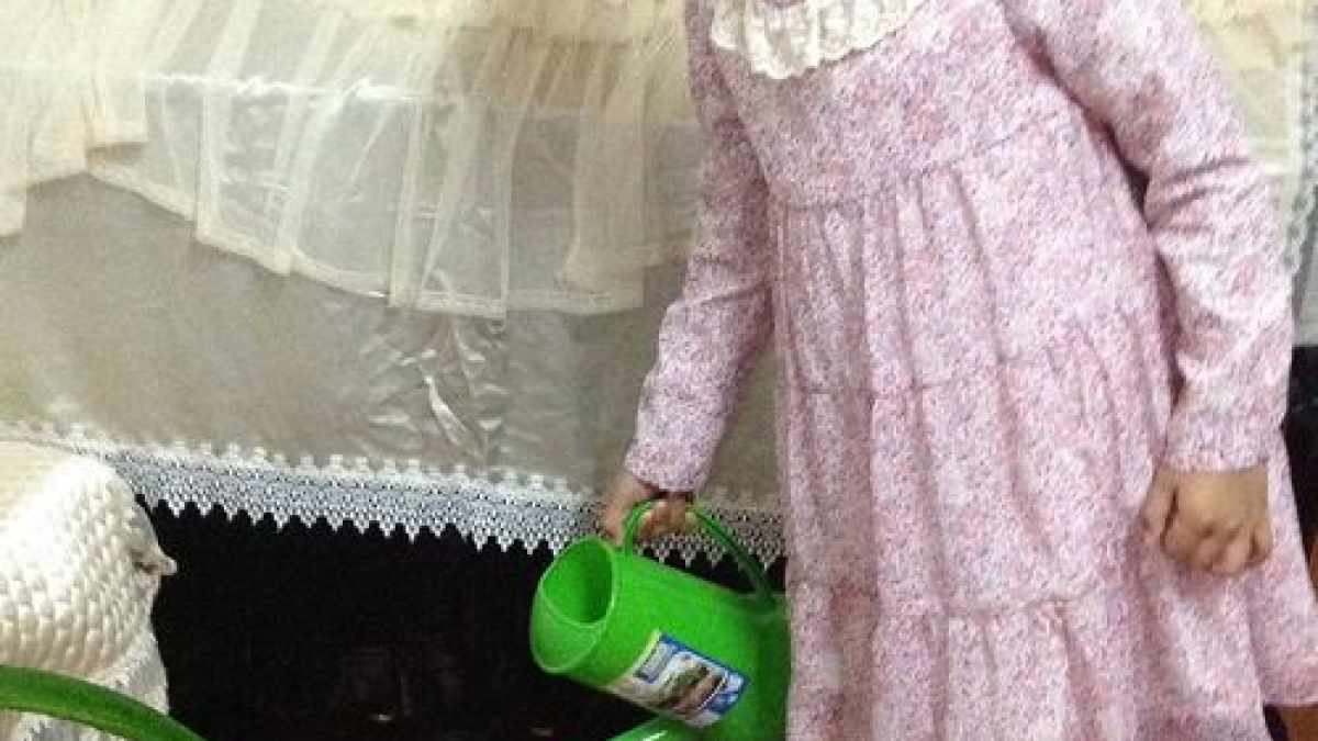 感恩之星——郑笑予