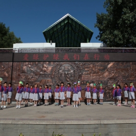 爱绿护绿 我们在行动