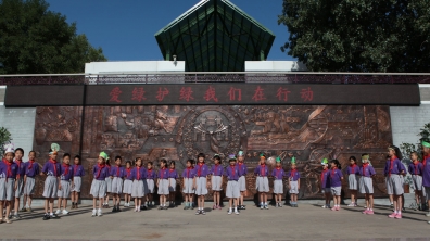 爱绿护绿 我们在行动