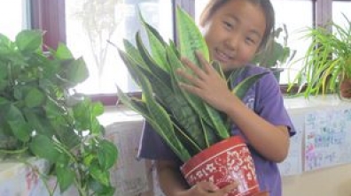 担当之星——金香延