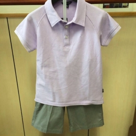 夏季新校服:紫色POLO T恤(男)