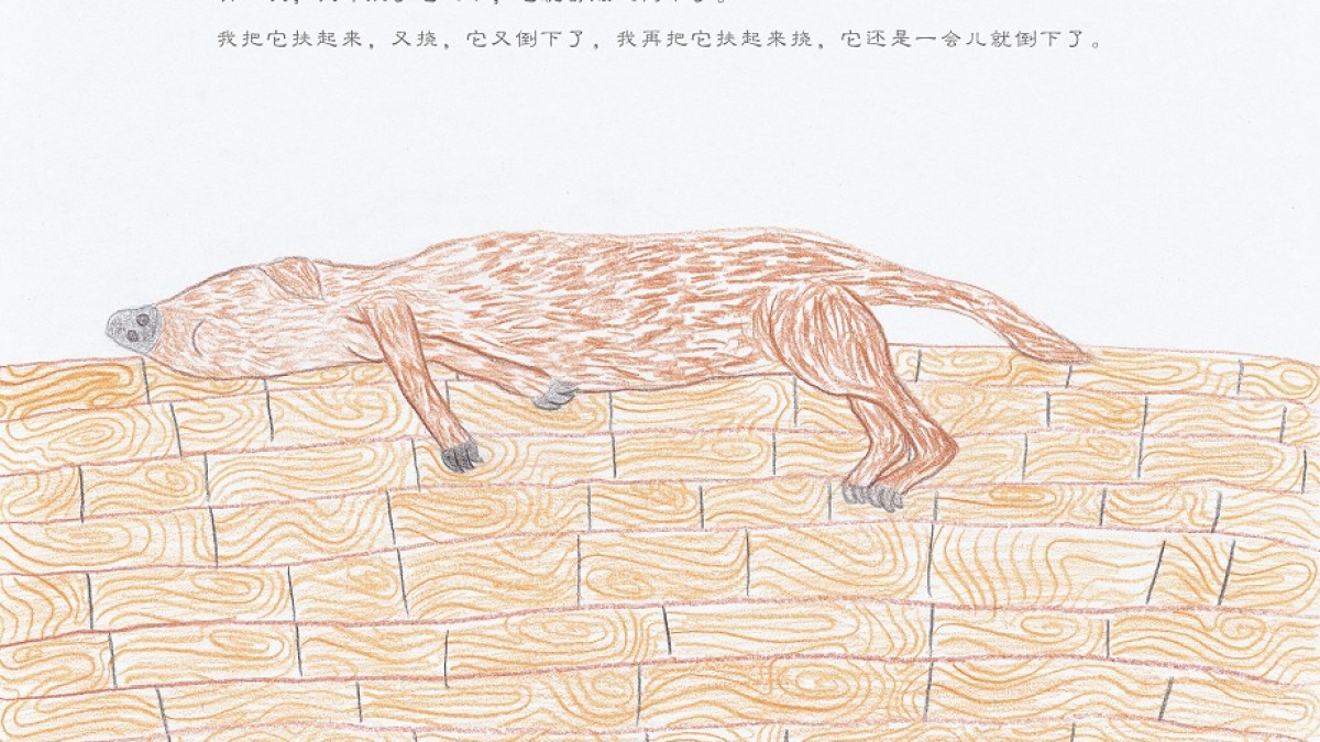 学生自创课程——水木秀场之我和麦高的故事