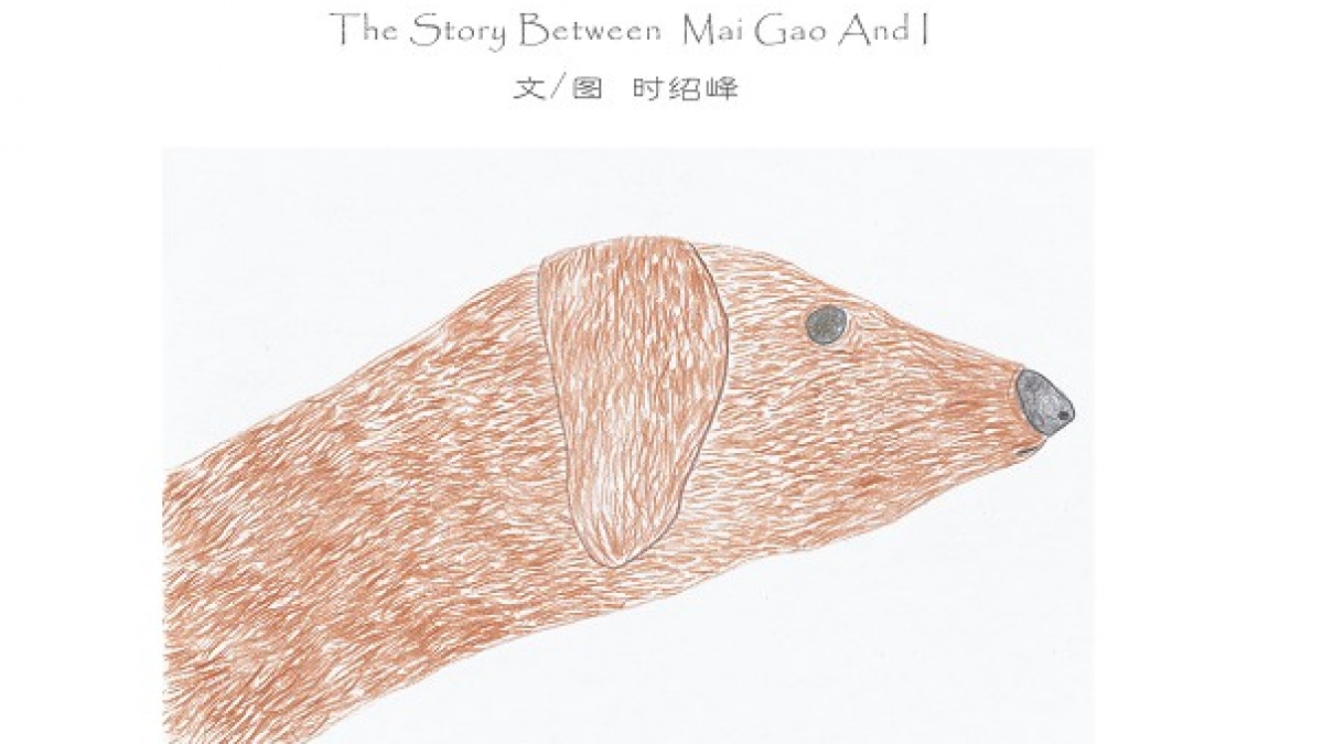 学生自创课程——水木秀场之我和麦高的故事