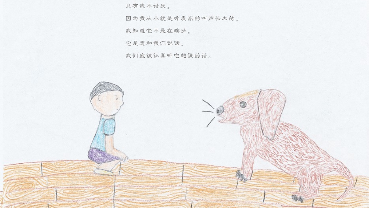 学生自创课程——水木秀场之我和麦高的故事