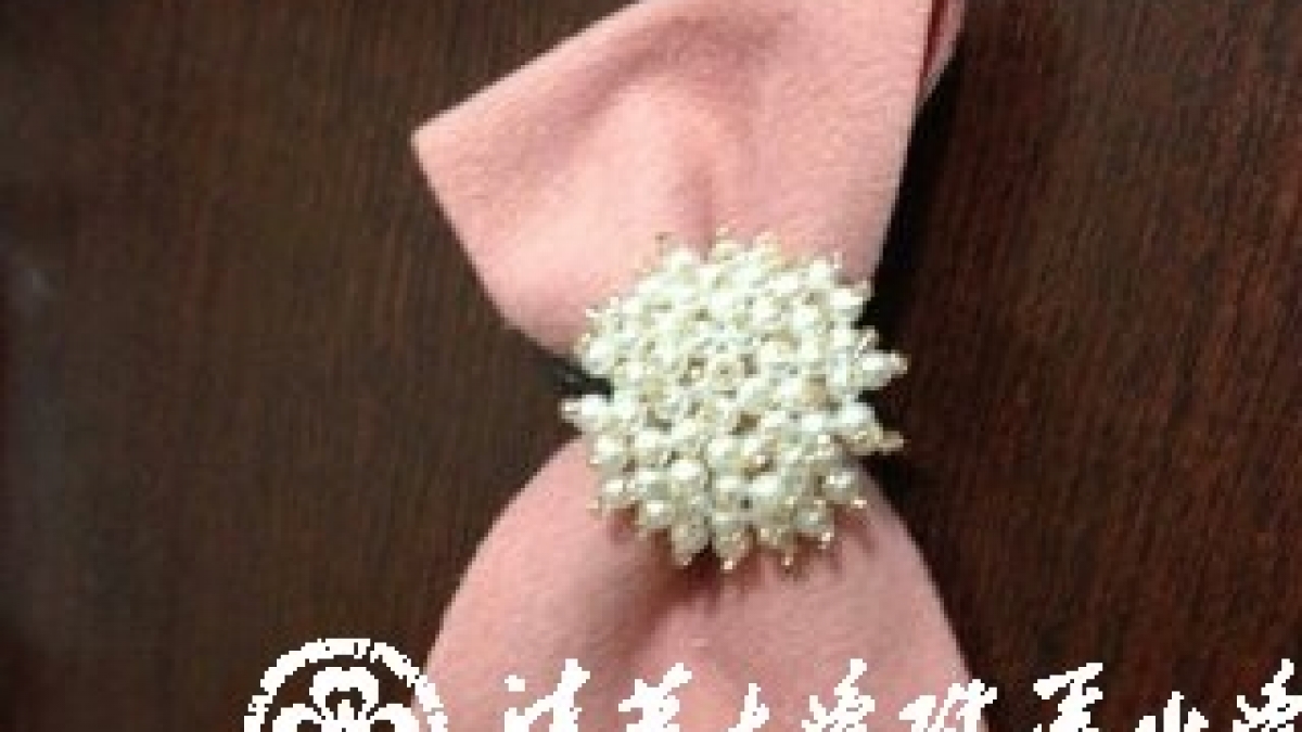 学生自创课程——水木秀场之跃然指尖的美丽