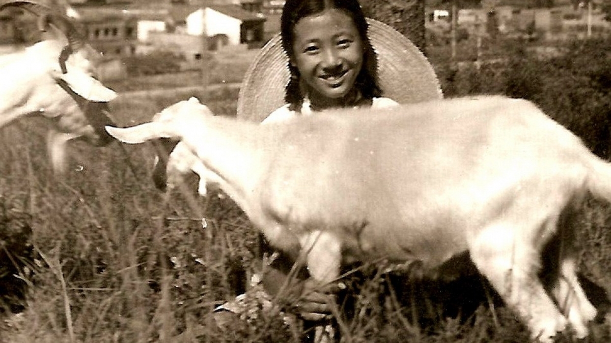 姚大夫和“红医班”----苏燕（清华附小1971届四班毕业生）