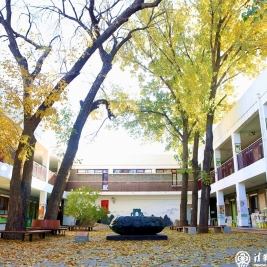 【清华附小成志教育】“100+1”，一封来自秋天的邀请信