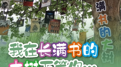 【成志教育100+5】来自清华附小的第11封温暖来信:我在长满书的大树下等你